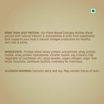 White Chocolate Cookie